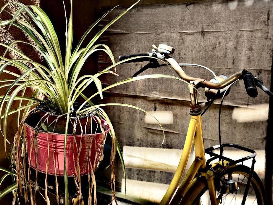 Maya Rhome Trastevere Roma Exterior foto